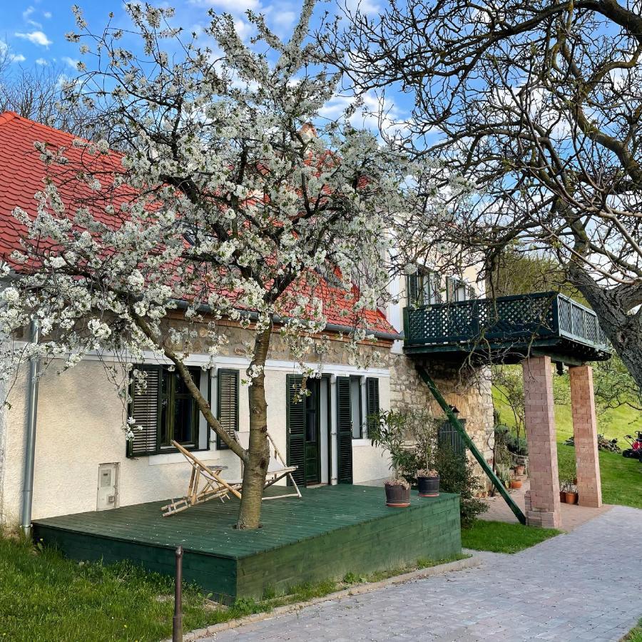Sarga Haz Country house *